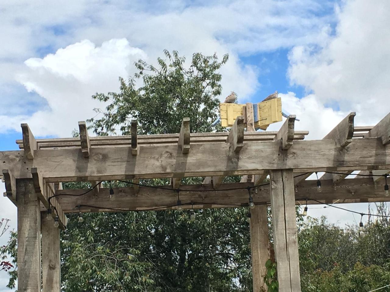 Hotel Quinta San Antonio Nopalucan de la Granja エクステリア 写真