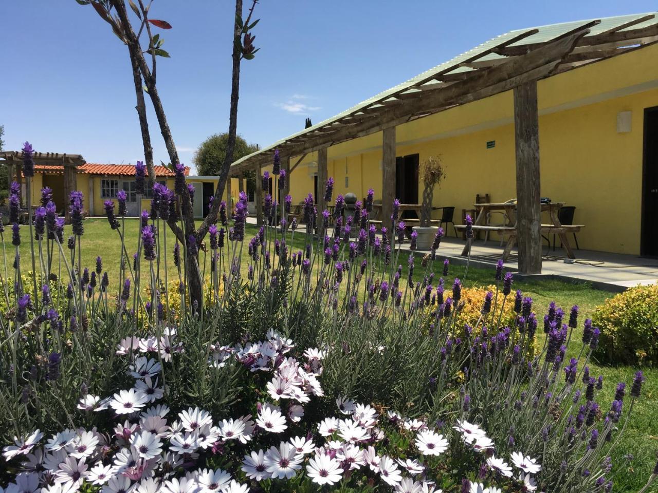 Hotel Quinta San Antonio Nopalucan de la Granja エクステリア 写真